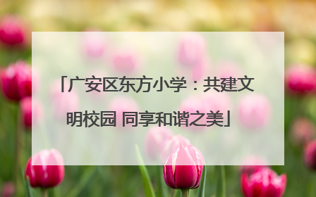 广安区东方小学：共建文明校园 同享和谐之美