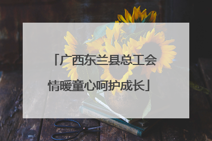 广西东兰县总工会情暖童心呵护成长