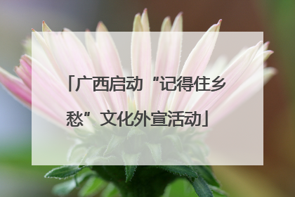 广西启动“记得住乡愁”文化外宣活动