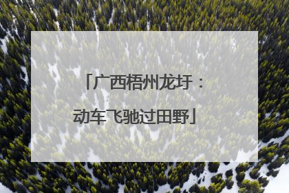 广西梧州龙圩：动车飞驰过田野