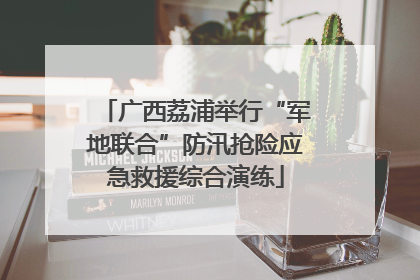 广西荔浦举行“军地联合”防汛抢险应急救援综合演练
