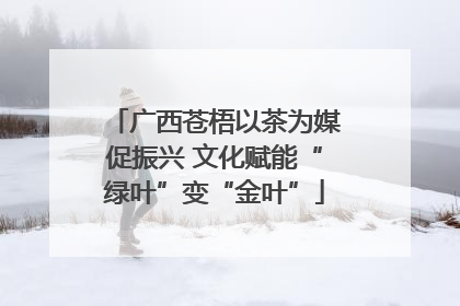 广西苍梧以茶为媒促振兴 文化赋能“绿叶”变“金叶”