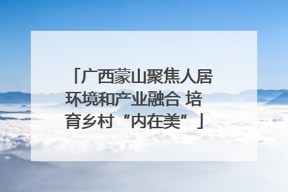广西蒙山聚焦人居环境和产业融合 培育乡村“内在美”