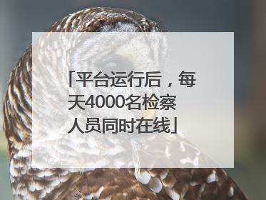 平台运行后，每天4000名检察人员同时在线