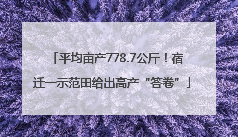 平均亩产778.7公斤！宿迁一示范田给出高产“答卷”