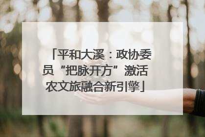 平和大溪：政协委员“把脉开方”激活农文旅融合新引擎