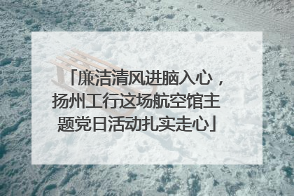 廉洁清风进脑入心，扬州工行这场航空馆主题党日活动扎实走心