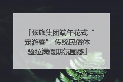 张旅集团端午花式“宠游客” 传统民俗体验拉满假期氛围感