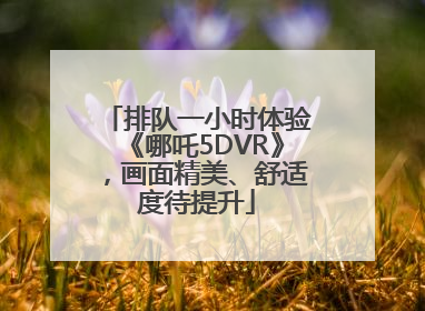 排队一小时体验《哪吒5DVR》，画面精美、舒适度待提升