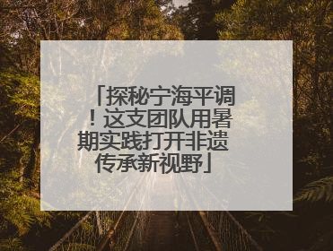 探秘宁海平调！这支团队用暑期实践打开非遗传承新视野