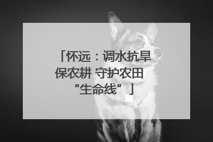 怀远：调水抗旱保农耕 守护农田 “生命线”