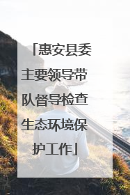 惠安县委主要领导带队督导检查生态环境保护工作