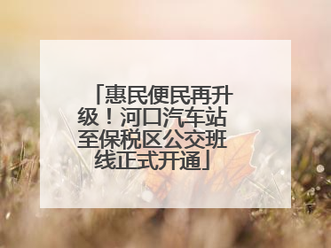 惠民便民再升级！河口汽车站至保税区公交班线正式开通