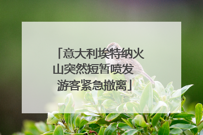 意大利埃特纳火山突然短暂喷发 游客紧急撤离