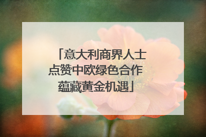 意大利商界人士点赞中欧绿色合作蕴藏黄金机遇