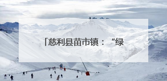 慈利县苗市镇：“绿茵小将”逐梦赛场