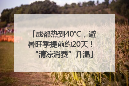 成都热到40℃，避暑旺季提前约20天！“清凉消费”升温