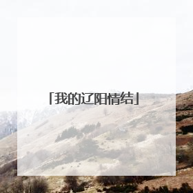 我的辽阳情结