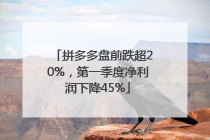拼多多盘前跌超20%，第一季度净利润下降45%
