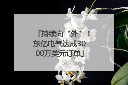 持续向“外”！东亿电气达成3000万美元订单