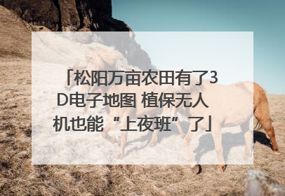 松阳万亩农田有了3D电子地图 植保无人机也能“上夜班”了