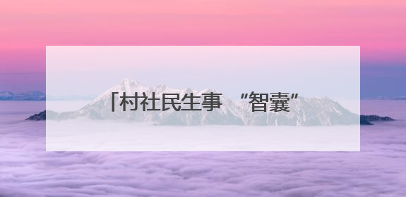 村社民生事 “智囊”出点子 嘉兴市秀洲区推行AI“民情一本账”