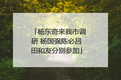 杨东奇来我市调研 杨国强陈必昌田和友分别参加