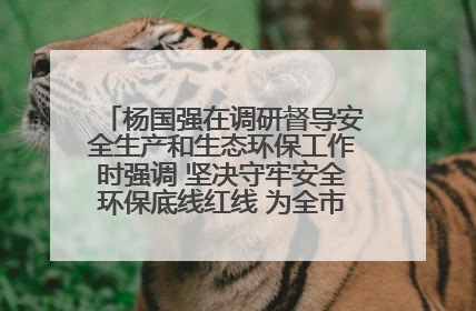杨国强在调研督导安全生产和生态环保工作时强调 坚决守牢安全环保底线红线 为全市经济社会高质量发展提供坚强保障
