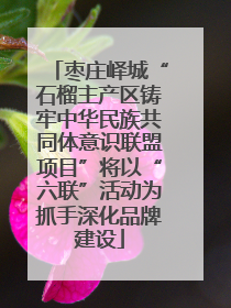 枣庄峄城“石榴主产区铸牢中华民族共同体意识联盟项目”将以“六联”活动为抓手深化品牌建设