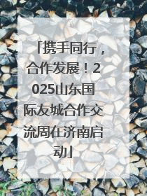 携手同行，合作发展！2025山东国际友城合作交流周在济南启动