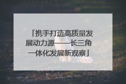 携手打造高质量发展动力源——长三角一体化发展新观察