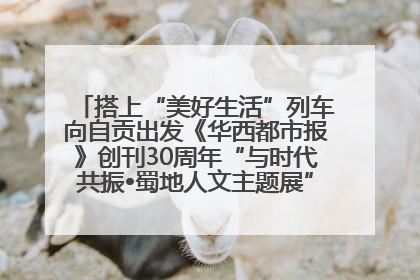 搭上“美好生活”列车向自贡出发《华西都市报》创刊30周年“与时代共振•蜀地人文主题展”5月30日开展丨美好生活有“盐”味