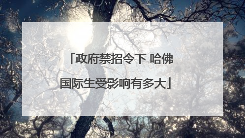 政府禁招令下 哈佛国际生受影响有多大