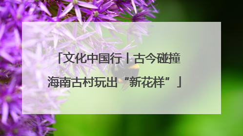 文化中国行丨古今碰撞 海南古村玩出“新花样”