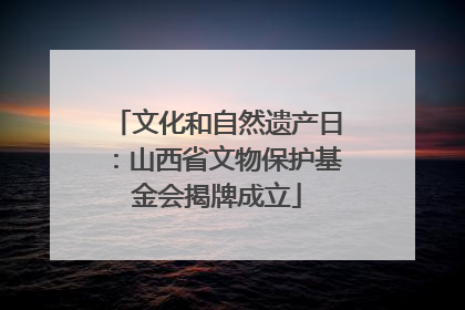文化和自然遗产日：山西省文物保护基金会揭牌成立
