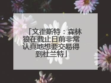 文霍斯特：森林狼在截止日前非常认真地想要交易得到杜兰特