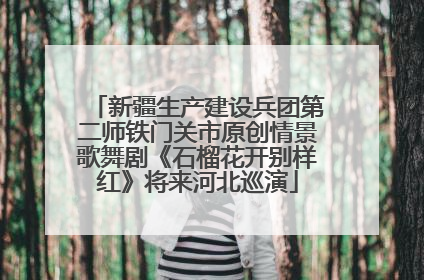 新疆生产建设兵团第二师铁门关市原创情景歌舞剧《石榴花开别样红》将来河北巡演