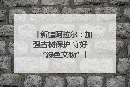 新疆阿拉尔：加强古树保护 守好“绿色文物”