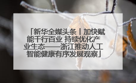 新华全媒头条丨加快赋能千行百业 持续优化产业生态——浙江推动人工智能健康有序发展观察