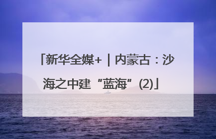 新华全媒+｜内蒙古：沙海之中建“蓝海”(2)