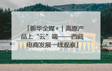 新华全媒+｜高原产品上“云”端——西藏电商发展一线观察