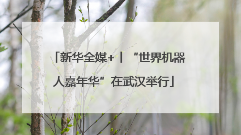 新华全媒+丨“世界机器人嘉年华”在武汉举行