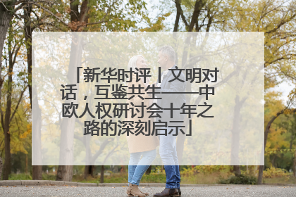 新华时评丨文明对话，互鉴共生——中欧人权研讨会十年之路的深刻启示