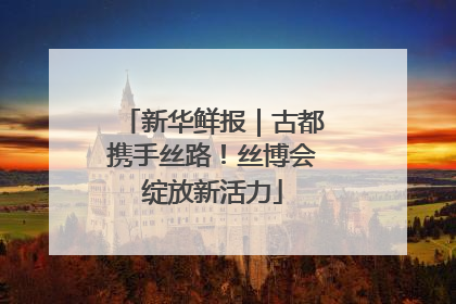 新华鲜报｜古都携手丝路！丝博会绽放新活力