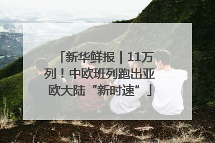 新华鲜报｜11万列！中欧班列跑出亚欧大陆“新时速”