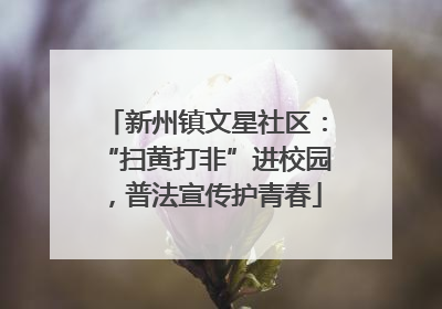 新州镇文星社区：“扫黄打非”进校园，普法宣传护青春