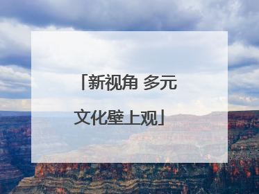 新视角 多元文化壁上观