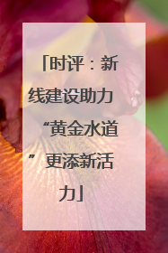 时评：新线建设助力“黄金水道”更添新活力