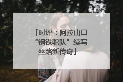时评：阿拉山口“钢铁驼队”续写丝路新传奇