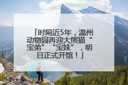 时隔近5年，温州动物园再迎大熊猫“宝弟”“宝妹”，明日正式开馆！